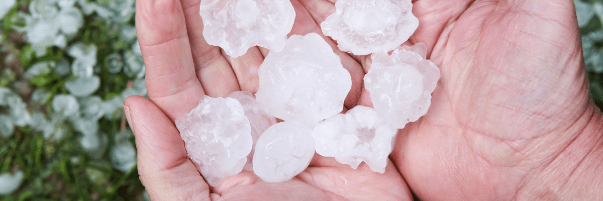 hail damage what to do